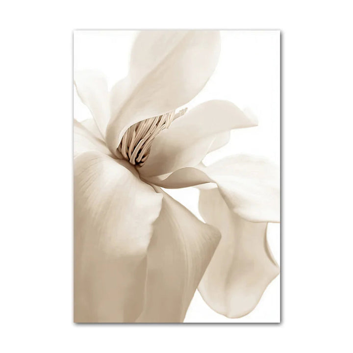 Beige flower on a white background.