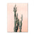 Pink Cacti Canvas Posters