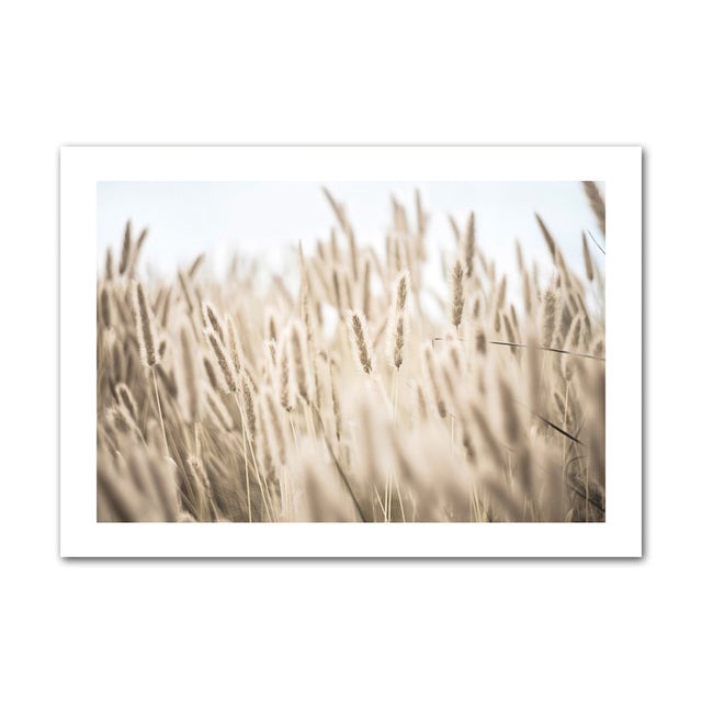 Country field canvas poster.