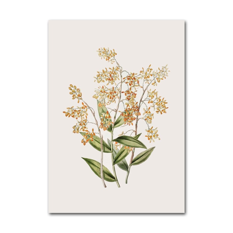 Floral canvas poster.