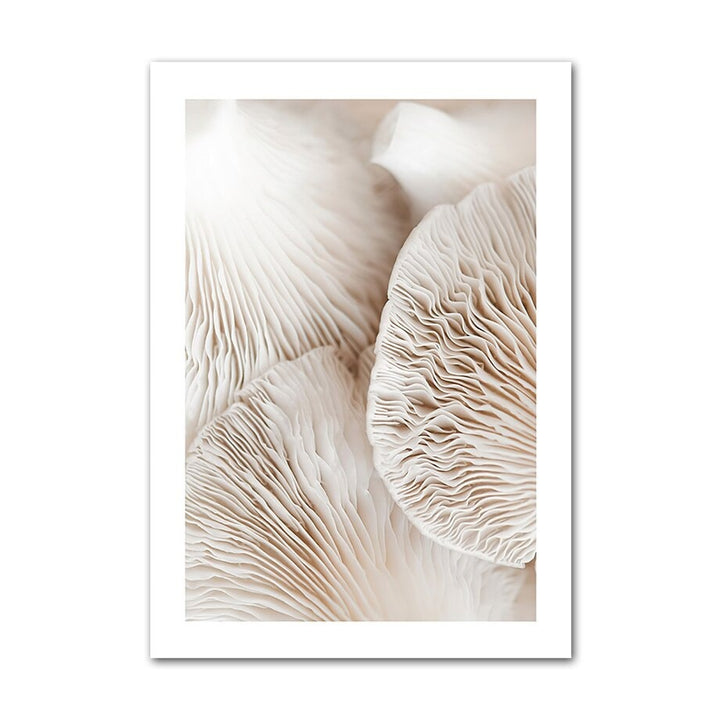Tulips Canvas Posters