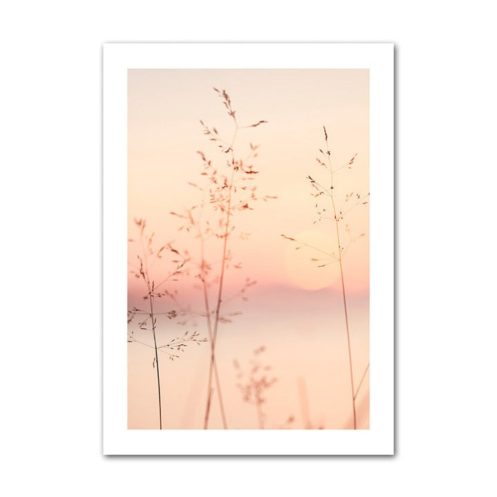 Hay in sunset canvas poster.