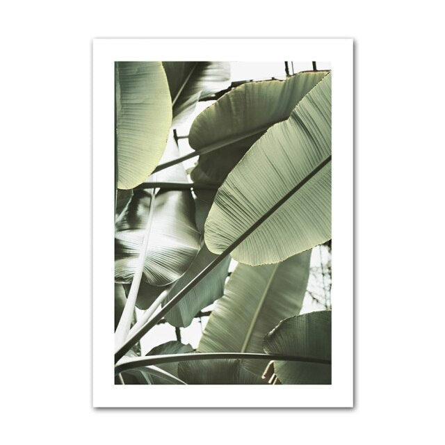 Palm leaf canvas poster.