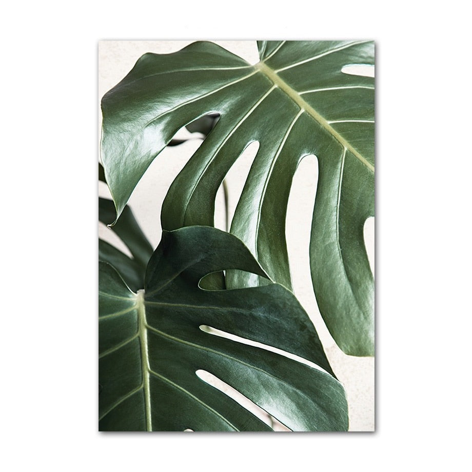 Palm leaves canvas poster.
