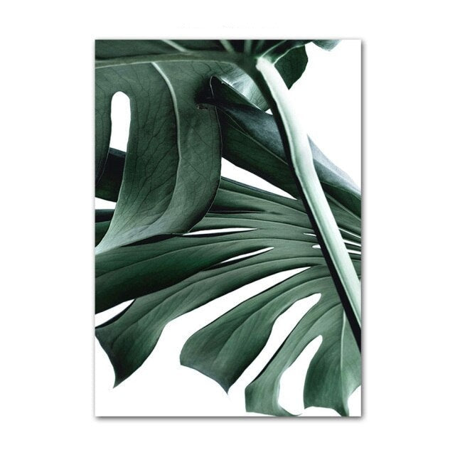 Palm leaves poster.