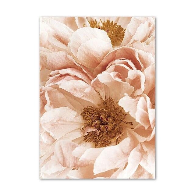 Peach flower canvas poster.