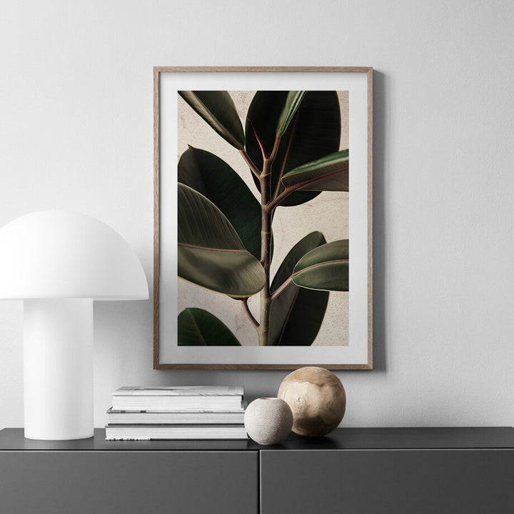Plant poster in frame on wall.