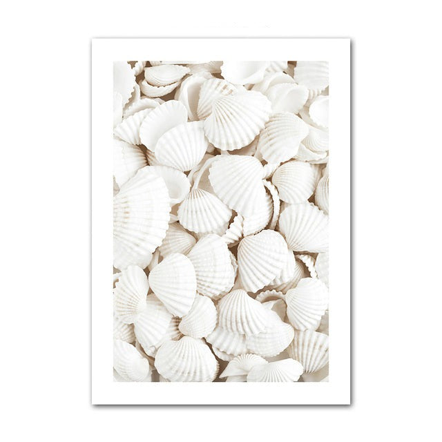Seashells canvas poster.
