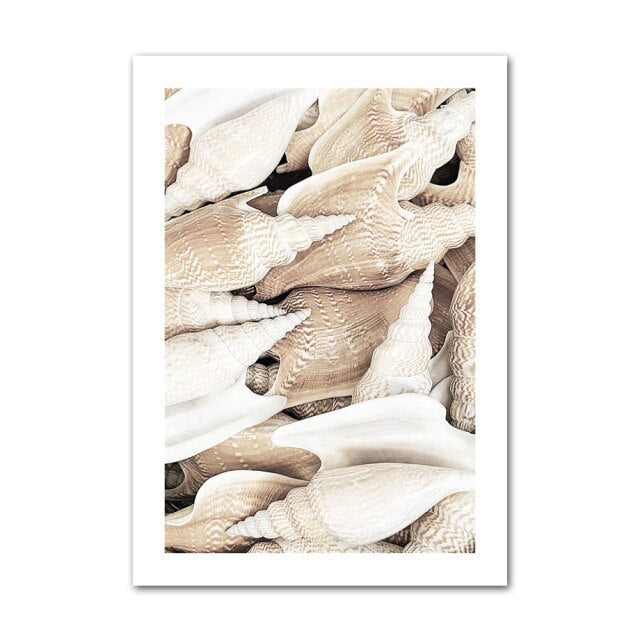 Seashell canvas poster.
