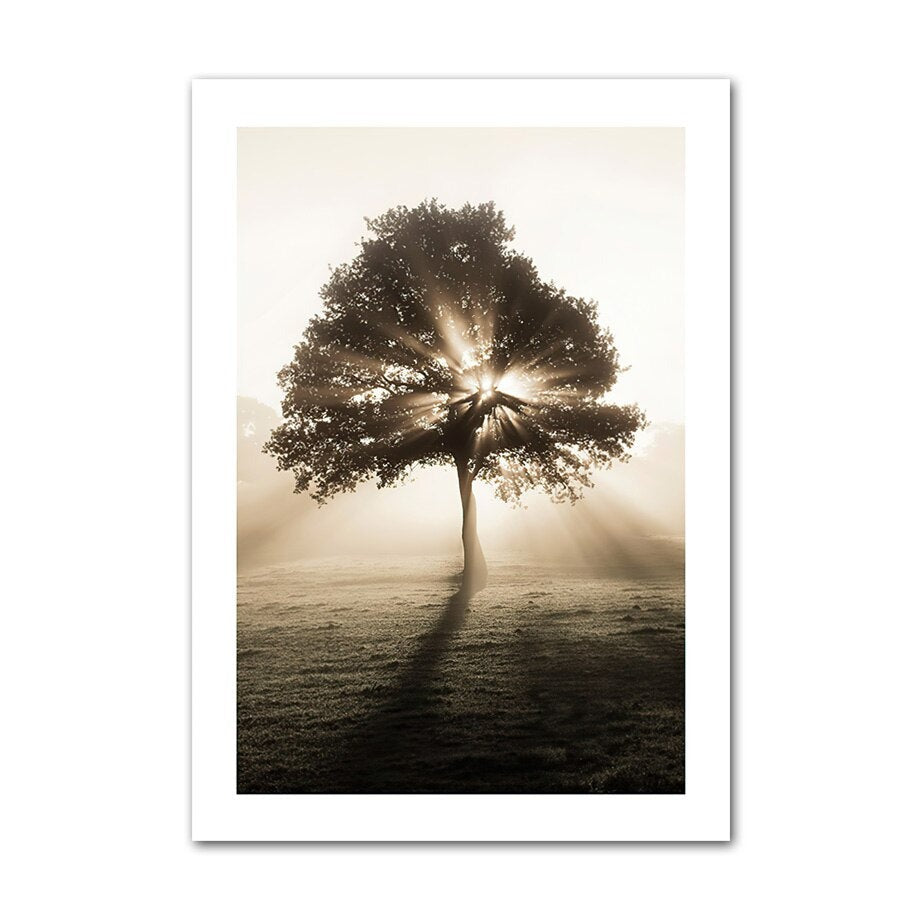 Tree in sunrise canvas poster.