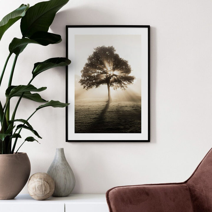 Tree in sunrise canvas poster on wall.