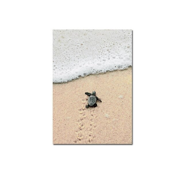 Turtle on beach canvas poster.