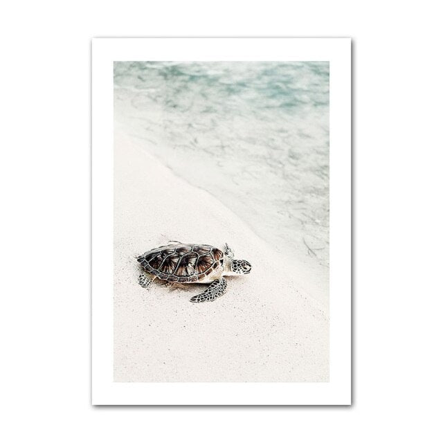 Turtle on the beach sand canvas poster.