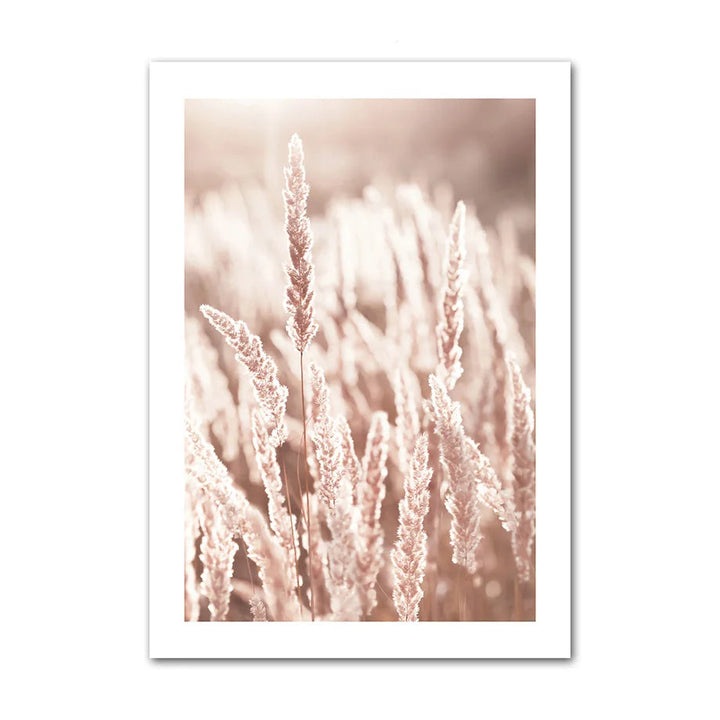 Framed artwork of grass with a soft focus background on a white background