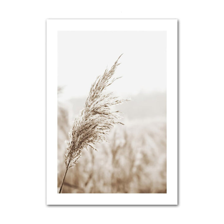 Wheat canvas poster.