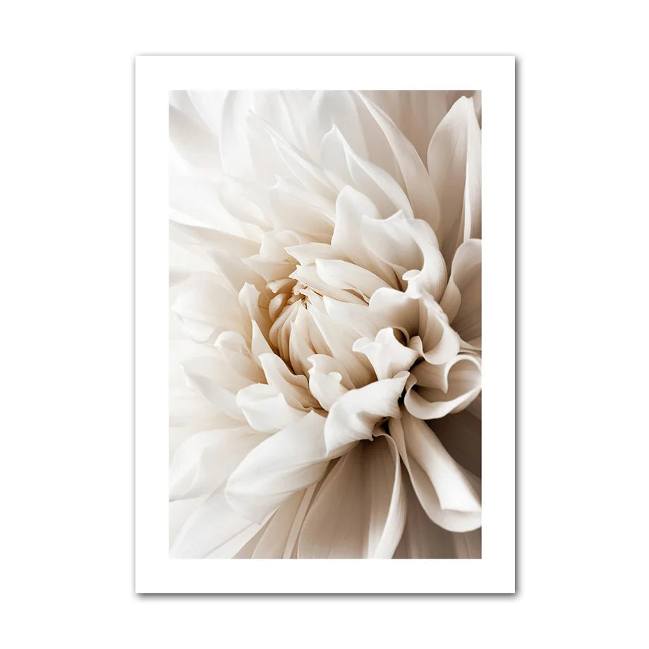 Close-up of a beige flower with a white frame on a light beige background