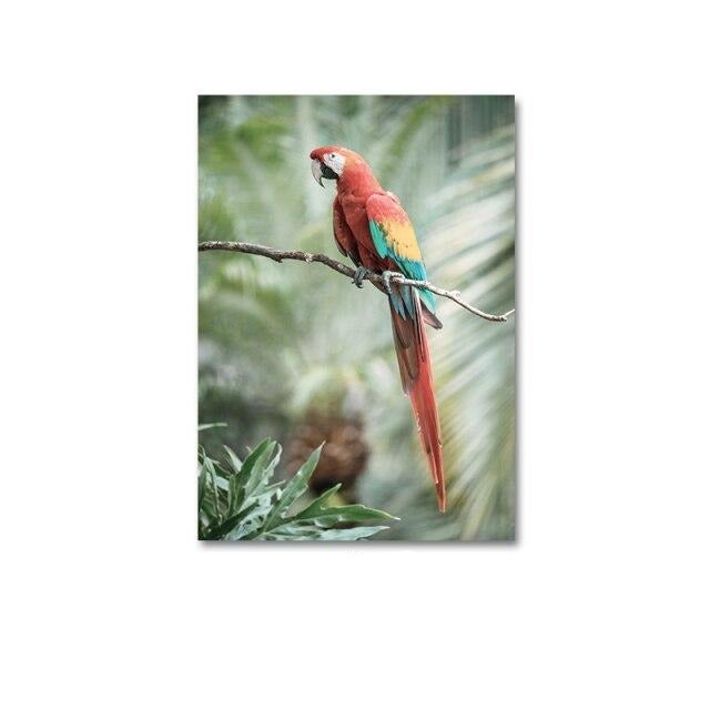 Parrot canvas poster.