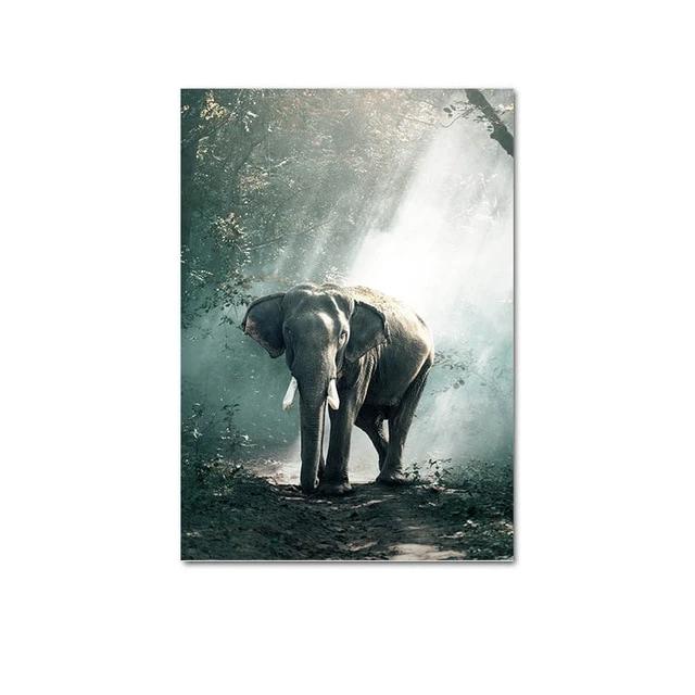 Elephant canvas poster.