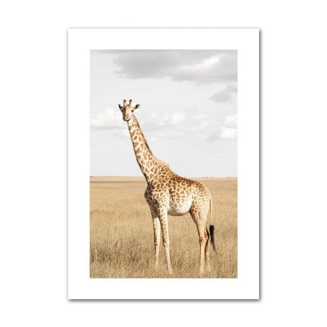 Giraffe canvas poster.