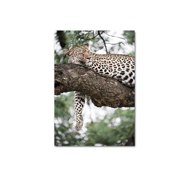 Lazy leopard canvas poster.