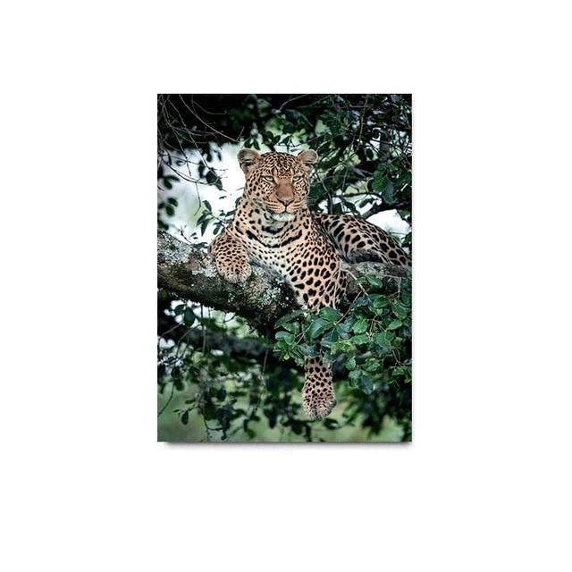 Leopard canvas poster.