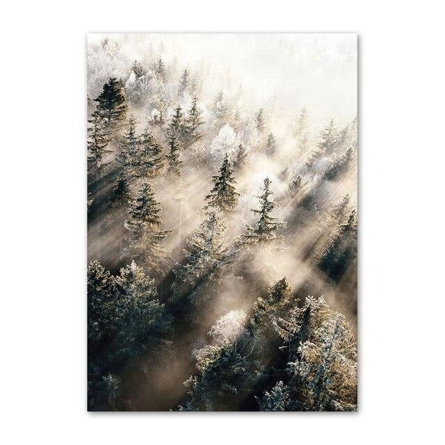 Sunrays in forest canvas poster.