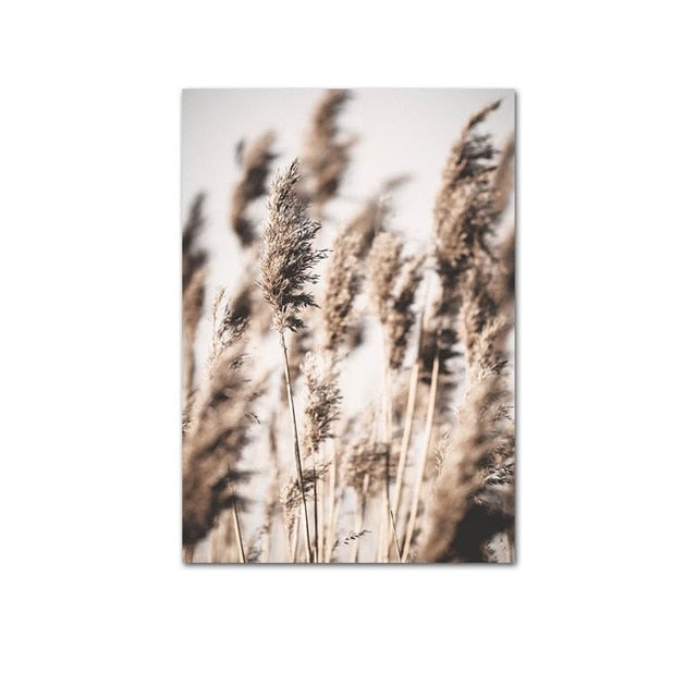 Pampas wheat canvas poster.