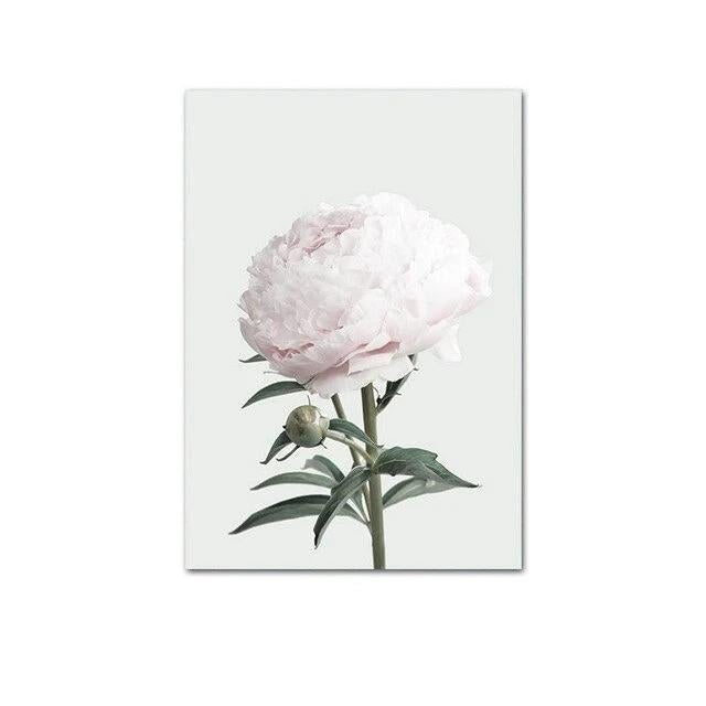 White rose canvas poster.