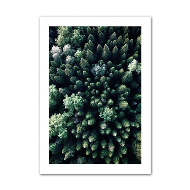 Aerial forest canvas poster.