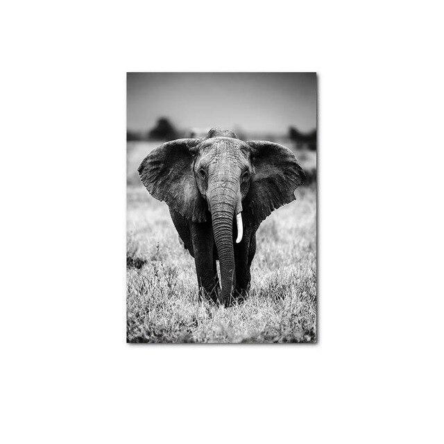 Elephant canvas poster.