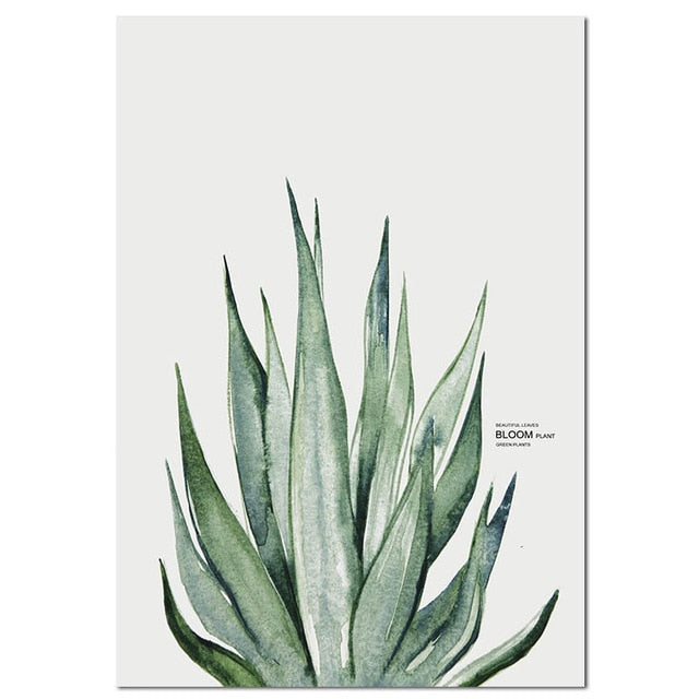 Aloe vera plant poster.