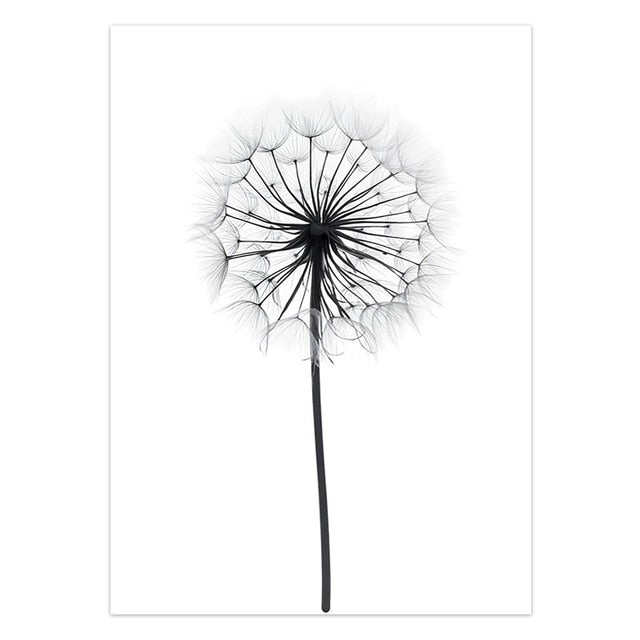 Dandelion black and white canvas poster.