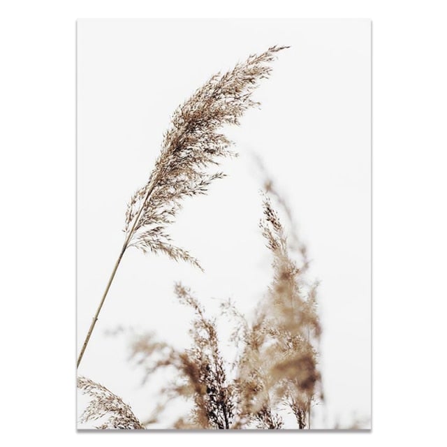 Pampas in the field canvas poster.