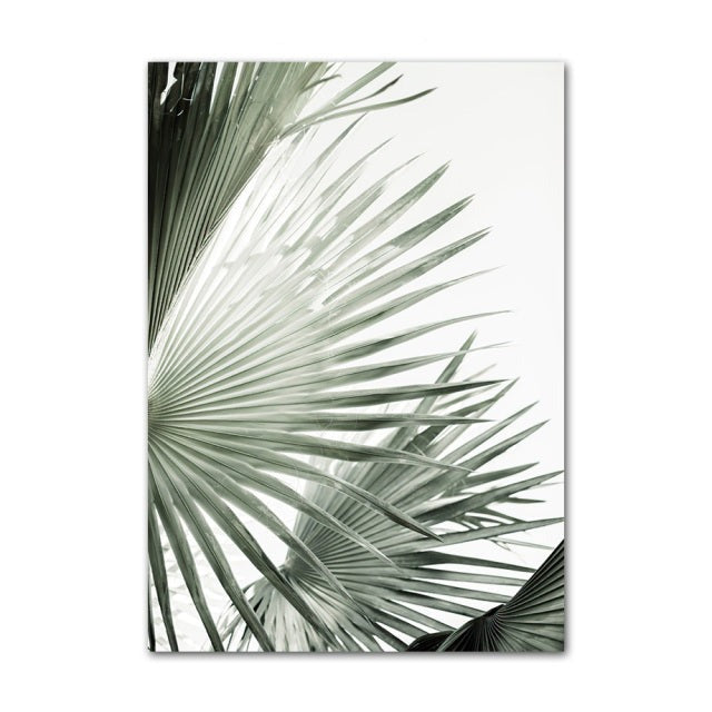 Palm leaves with light background.