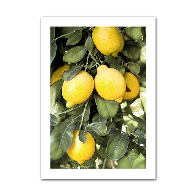 Lemon tree canvas poster.