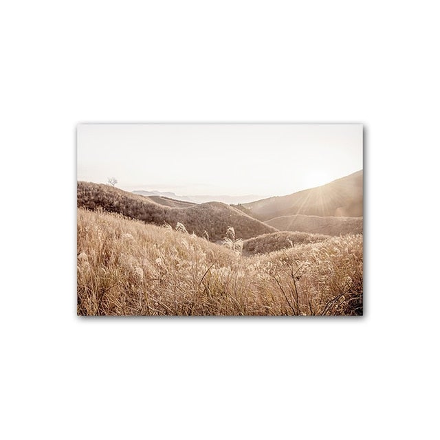 Fields in the sunrise canvas prints.