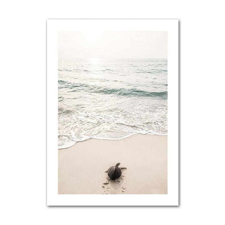 Turtle on the beach canvas poster.