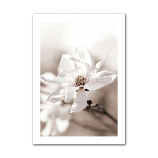 White flower close up poster.