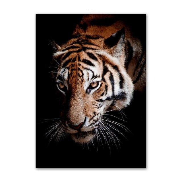 Tiger canvas picture.
