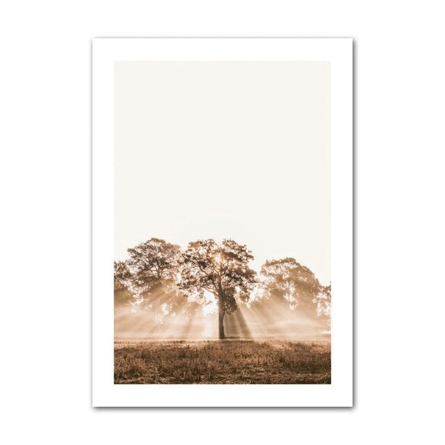 Tree photo canvas print.