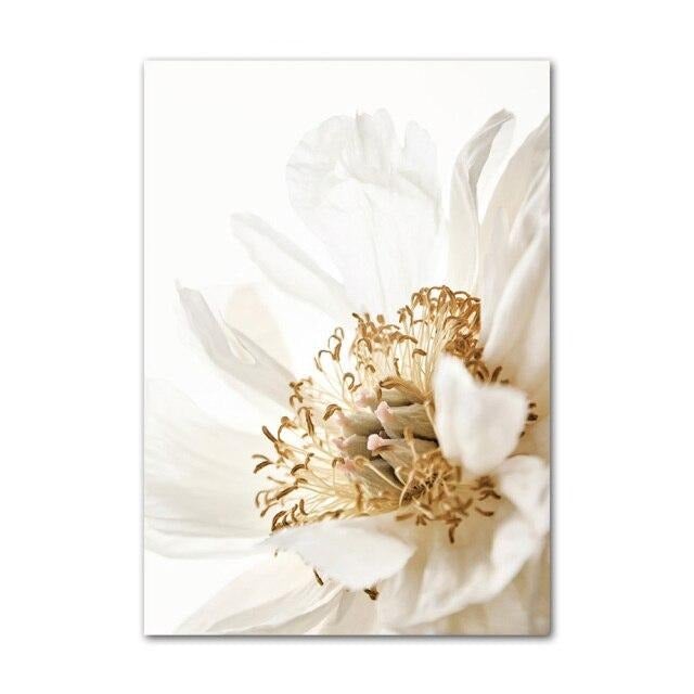 White flower canvas print.