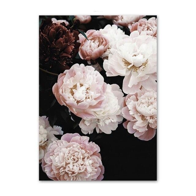 White rose canvas print.
