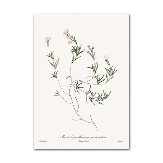 Fleur Canvas Posters