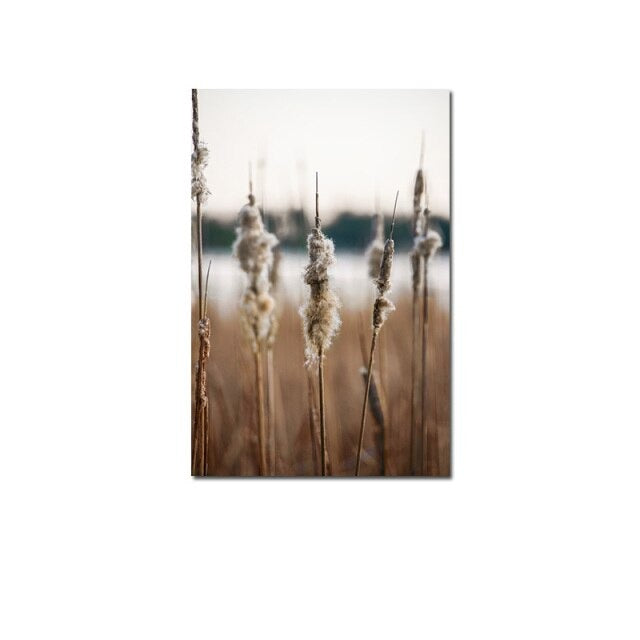 Lac Brume Canvas Prints - Artvsta